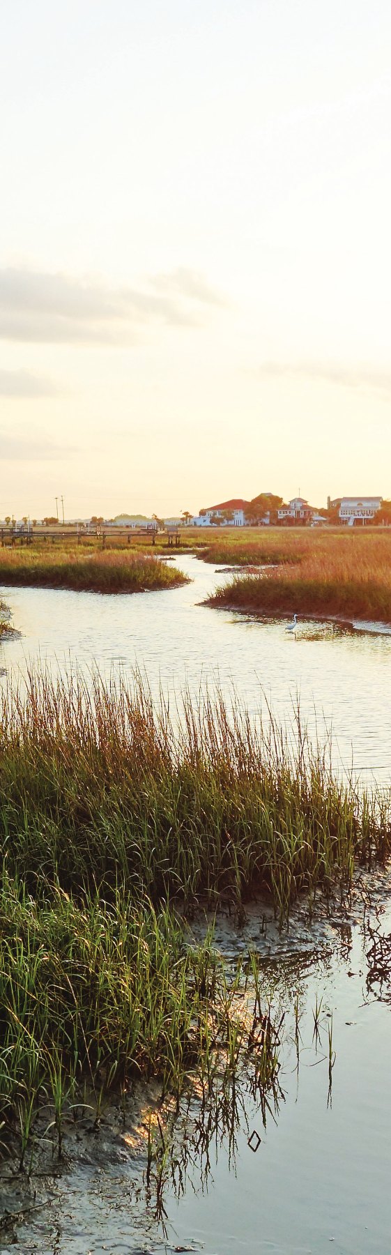 Lowcountry marsh at golden hour