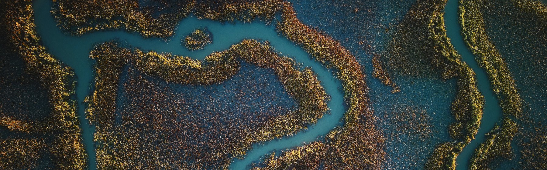 Tidal creeks winding through the Lowcountry marsh
